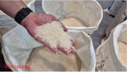 Quốc gia nhập khẩu gạo số 1 thế giới lại có động thái mới