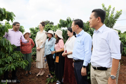 Trao quyền cho phụ nữ - Động lực mới cho nông nghiệp bền vững