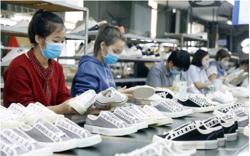 Quy trình thẩm định chuỗi cung ứng của thị trường EU: Doanh nghiệp Việt cần thay đổi để thích ứng