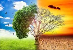 Giảm phát thải khí mê - tan ứng phó biến đổi khí hậu