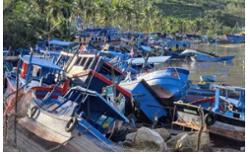 Thủ phủ tôm hùm "bay" hơn 20 tỉ đồng chỉ 1 đêm bão số 13