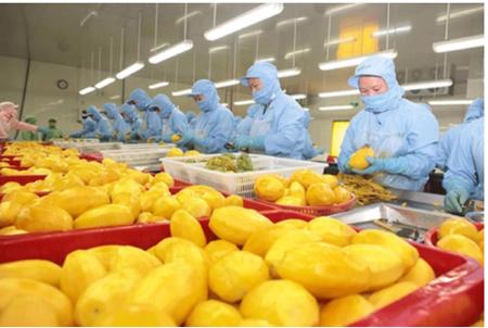 Rau quả Việt tăng tốc xuất khẩu