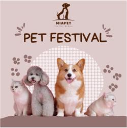 Kinh nghiệm chọn dịch vụ thú cưng: đảm bảo chăm sóc tốt nhất
