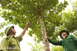 Phủ đầy thêm màu xanh Đắk Lắk