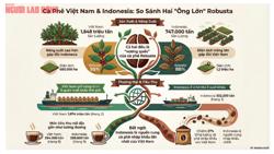 Giá cà phê hôm nay 22-12: Điều bất ngờ từ đối thủ cà phê Indonesia