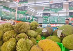 Hết hàng "giải cứu", giá sầu riêng bật tăng trở lại