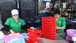 Các khoản phụ cấp, trợ cấp, thu nhập được miễn thuế thu nhập cá nhân