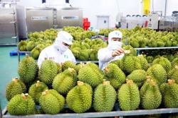 Hóa giải những rào cản xuất khẩu