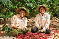 Nông sản Đắk Lắk khẳng định vị thế