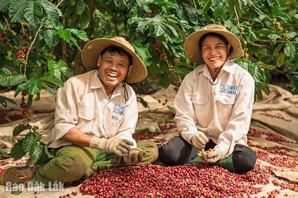 Nông sản Đắk Lắk khẳng định vị thế