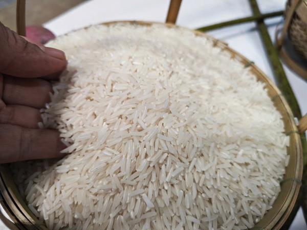 Giá gạo rơi xuống đáy