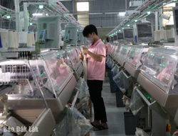 Đắk Lắk được Chính phủ giao chỉ tiêu tăng trưởng 8%
