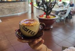 Giá cà phê hôm nay 8-2: Kỷ lục vuột nhất