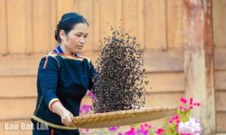 Tự hào văn hóa cà phê