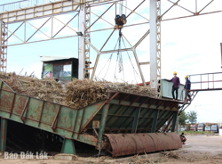 Phối hợp thực hiện điều tra doanh nghiệp