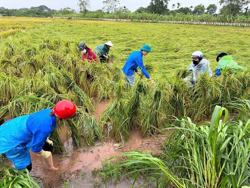 Thu hút bảo hiểm vào nông nghiệp