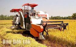 Tiếp sức cho hợp tác xã phát triển bền vững
