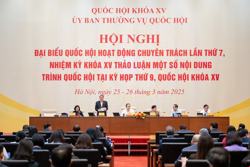 Đề xuất tăng thuế xe bán tải từ 2027