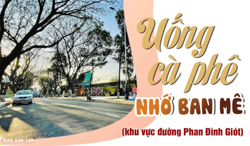 Lễ hội Cà phê Buôn Ma Thuột lần thứ 9, năm 2025: Nhiều hoạt động đặc sắc tại đường Phan Đình Giót