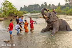 Các địa phương sẵn sàng vào hội