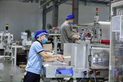 Hơn 10 nghìn doanh nghiệp thành lập mới trong tháng 2/2025