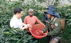 Sắp diễn ra hội nghị giao thương quốc tế kết nối, nâng tầm cà phê Việt