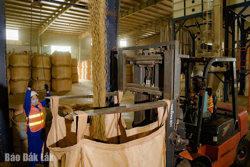 Khẳng định vị thế trong nền kinh tế