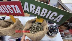 Giá cà phê hôm nay 25-4: Arabica "nóng ran"