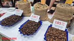 Giá cà phê hôm nay 3-4: Sẽ ra sao ở thị trường Mỹ?
