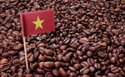 Nông sản Việt nào giữ phong độ giữa bão thương mại?
