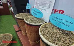 Giá cà phê hôm nay 9-4: Ba lần sụp giá