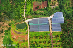 Doanh nghiệp trong xu thế phát triển xanh