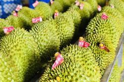 Lựa chọn phân bón đúng để nông sản không bị tồn dư Cadimi