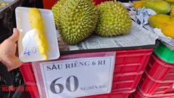 Sầu riêng loạn giá, xuất khẩu giảm sâu