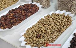 Giá cà phê hôm nay 9-5: Giá Robusta quốc tế tăng, trong nước tiếp tục giảm