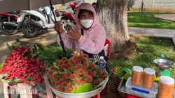 Quả của rừng