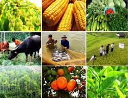 Những thay đổi về chính sách thuế từ 1/7/2025