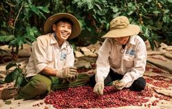 Nâng tầm cà phê Việt