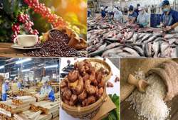 Xuất khẩu nông lâm thủy sản vượt kỳ vọng, đạt 33,84 tỷ USD, tăng 15,5%