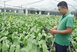 Tháo gỡ cơ chế thu hút đầu tư nông nghiệp