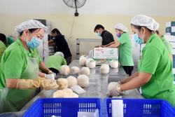 Trường hợp nào bị chấm dứt hưởng trợ cấp thất nghiệp từ 1/1/2026?