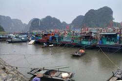 Xuất hiện vùng áp thấp trên biển gây mưa dông, gió mạnh