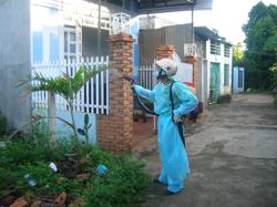 Chủ động ứng phó trước dịch bệnh Chikungunya