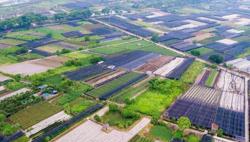 Nhiều quy định mới về đất đai có hiệu lực từ ngày 15-8
