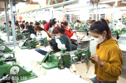 Phấn đấu đến cuối năm 2030 trên địa bàn tỉnh có trên 29.000 doanh nghiệp