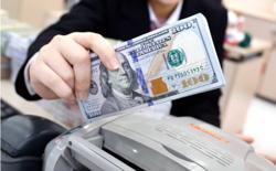 Không chỉ vàng miếng SJC, giá USD tại Việt Nam cũng lập đỉnh
