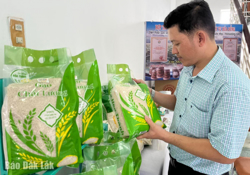 Phát huy lợi thế, tạo sức bật cho kinh tế tập thể