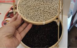 Giá tiêu Đắk Lắk và nhiều địa phương tăng mạnh trở lại