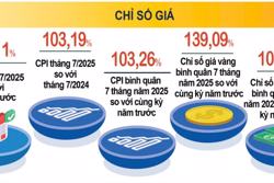 Nguyên nhân lạm phát cơ bản tháng 7/2025 của Việt Nam tăng