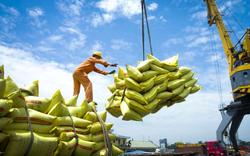 Doanh nghiệp gạo "cầu cứu" Bộ Công Thương
